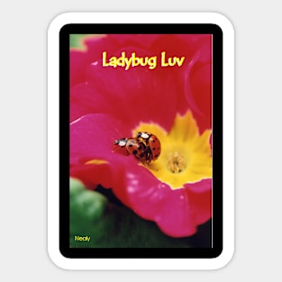 Lady Bugs . Sticker